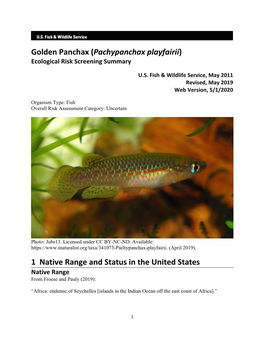 Golden Panchax (Pachypanchax Playfairii) Ecological Risk Screening Summary