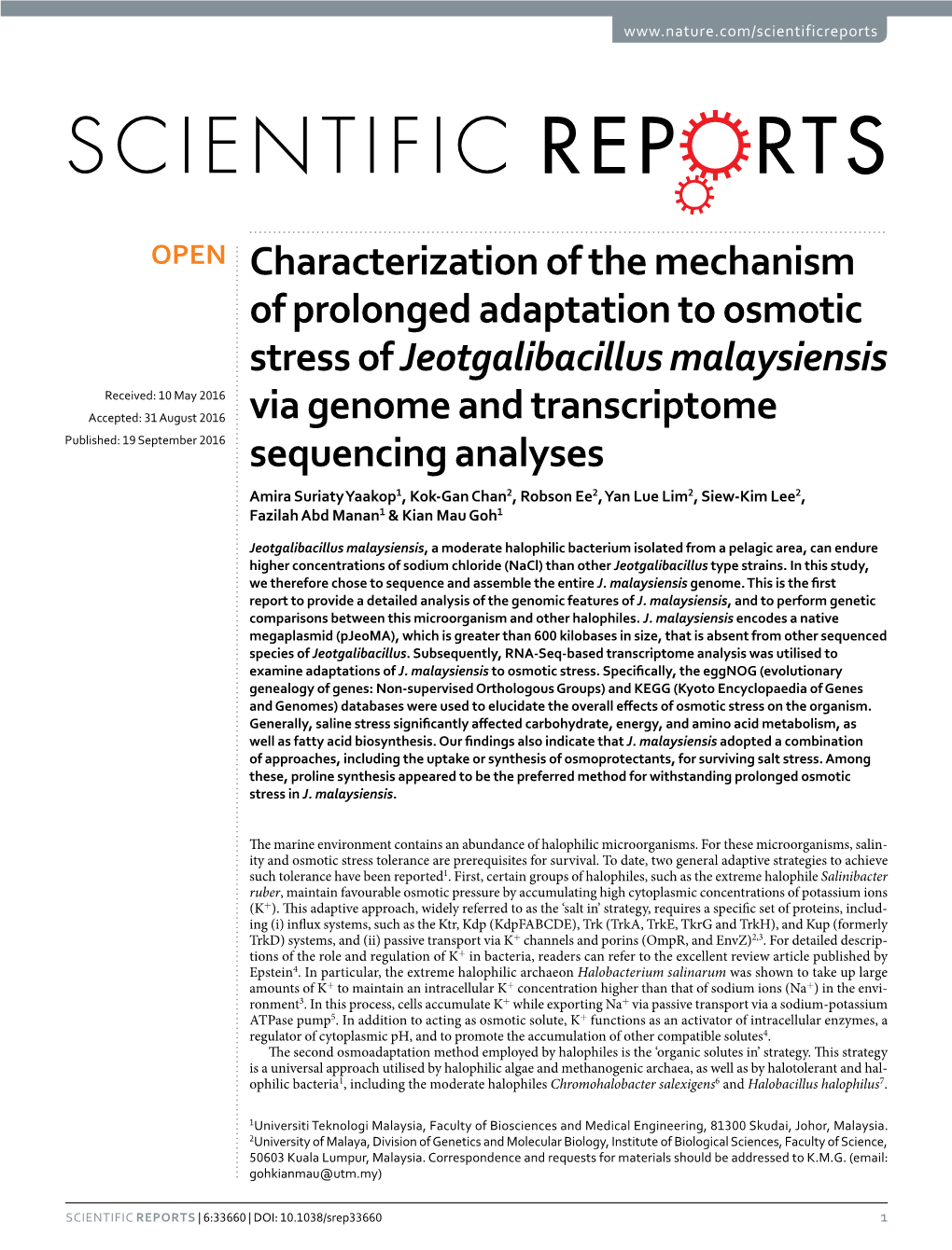 Characterization of the Mechanism of Prolonged Adaptation to Osmotic