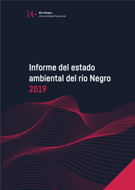 Informe Del Estado Ambiental Del Río Negro 2019