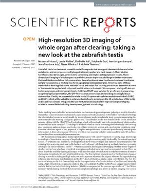 High-Resolution 3D Imaging of Whole Organ After Clearing: Taking a New