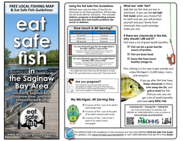 Eat Safe Fish in the Saginaw Bay Area