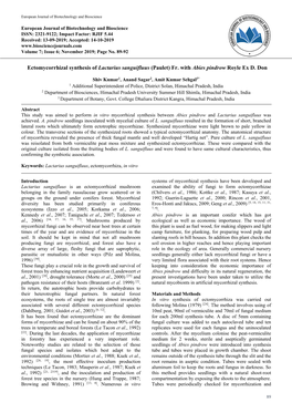 Ectomycorrhizal Synthesis of Lactarius Sanguifluus (Paulet) Fr