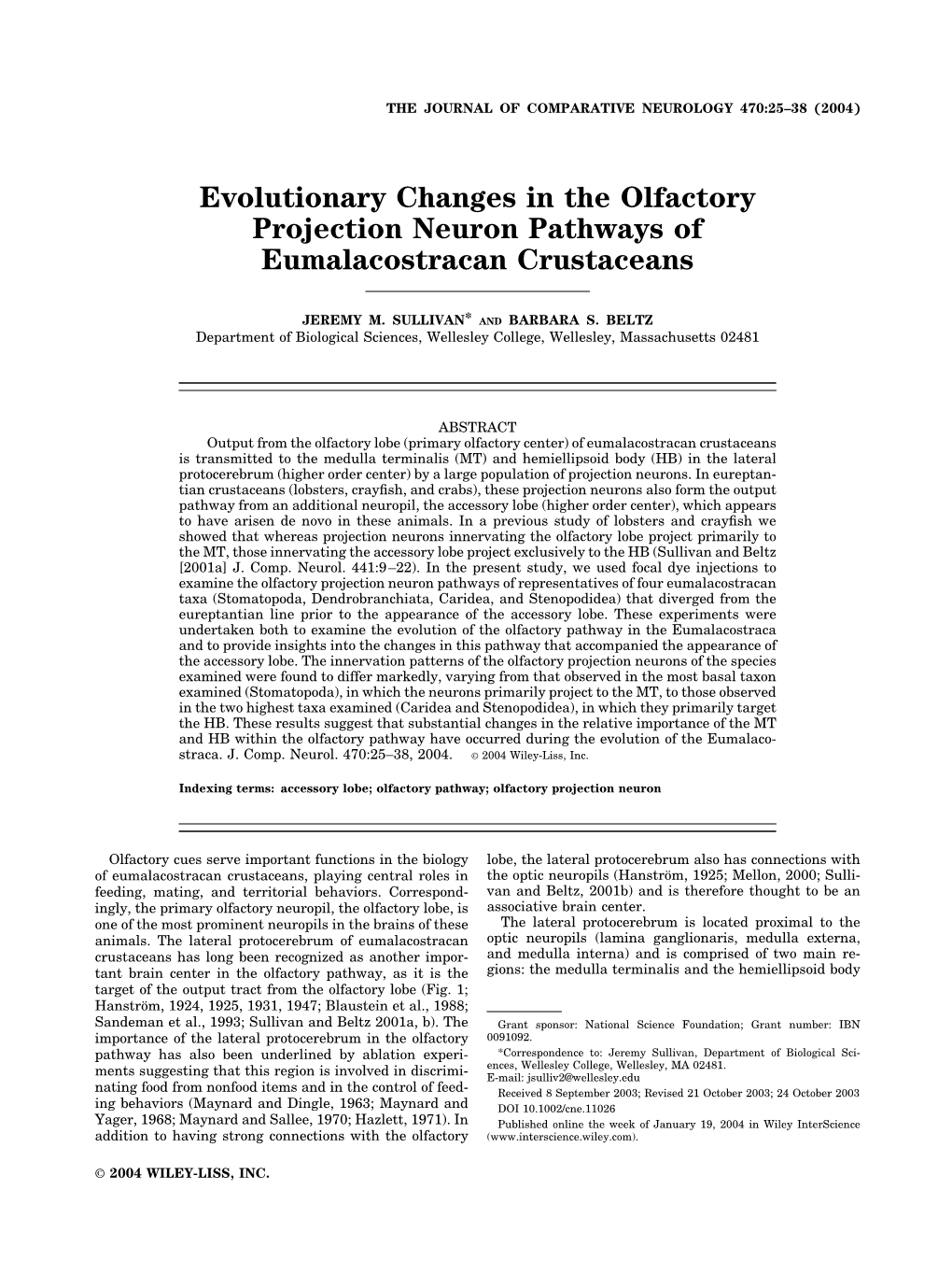 Evolutionary Changes in the Olfactory Projection Neuron Pathways of Eumalacostracan Crustaceans