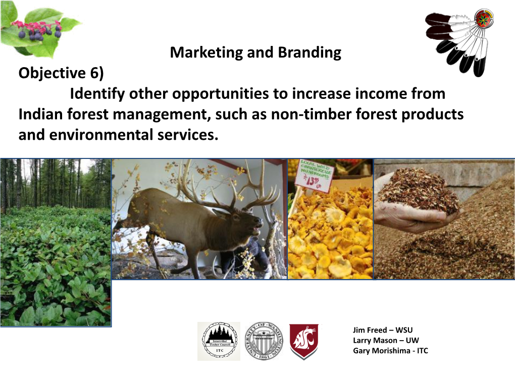 Non-Timber Forest Products and Environmental Services