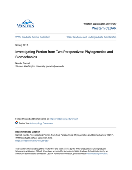 Investigating Pterion from Two Perspectives: Phylogenetics and Biomechanics