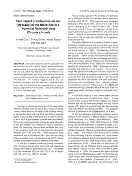 First Report of Enteromyxum Leei (Myxozoa)