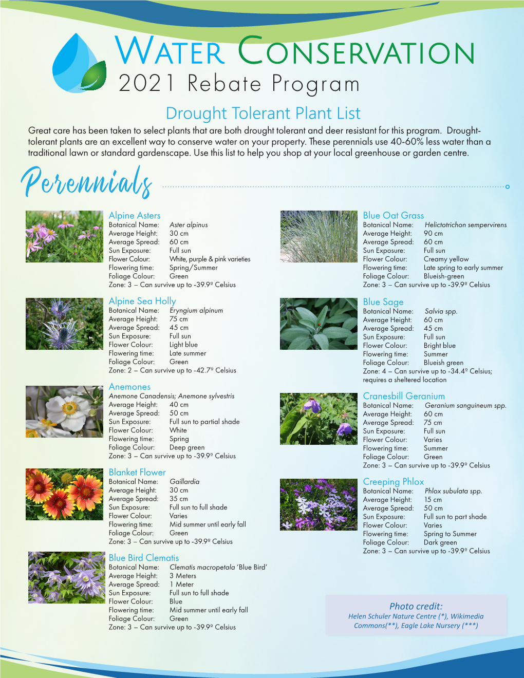 Drought Tolerant Plant List Great Care Has Been Taken to Select Plants That Are Both Drought Tolerant and Deer Resistant for This Program