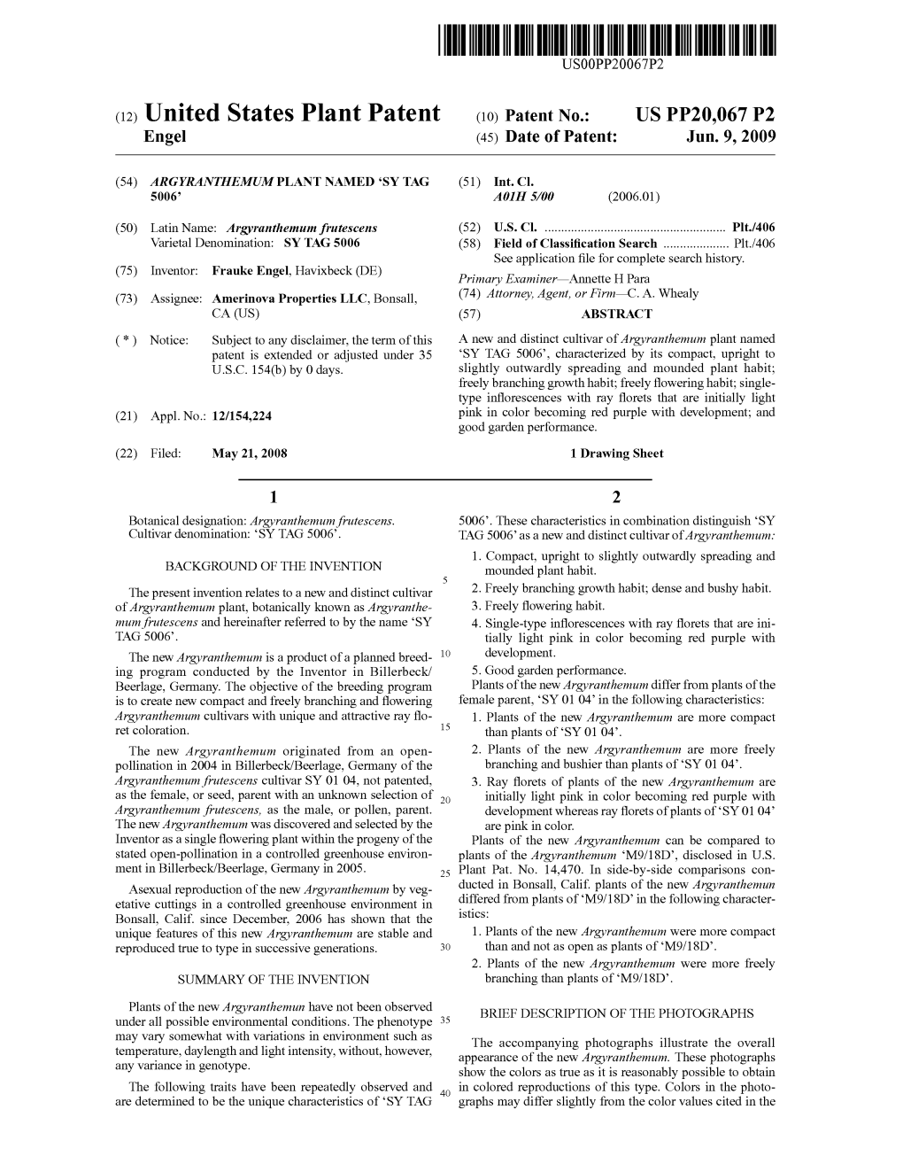 (12) United States Plant Patent (10) Patent No.: US PP20,067 P2 Engel (45) Date of Patent: Jun