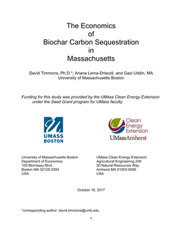 Report We Consider Only Agricultural Uses for Biochar, Though Biochar Also Has Applications in Filtration, Environmental Remediation, Etc