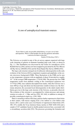 A Zoo of Astrophysical Transient Sources