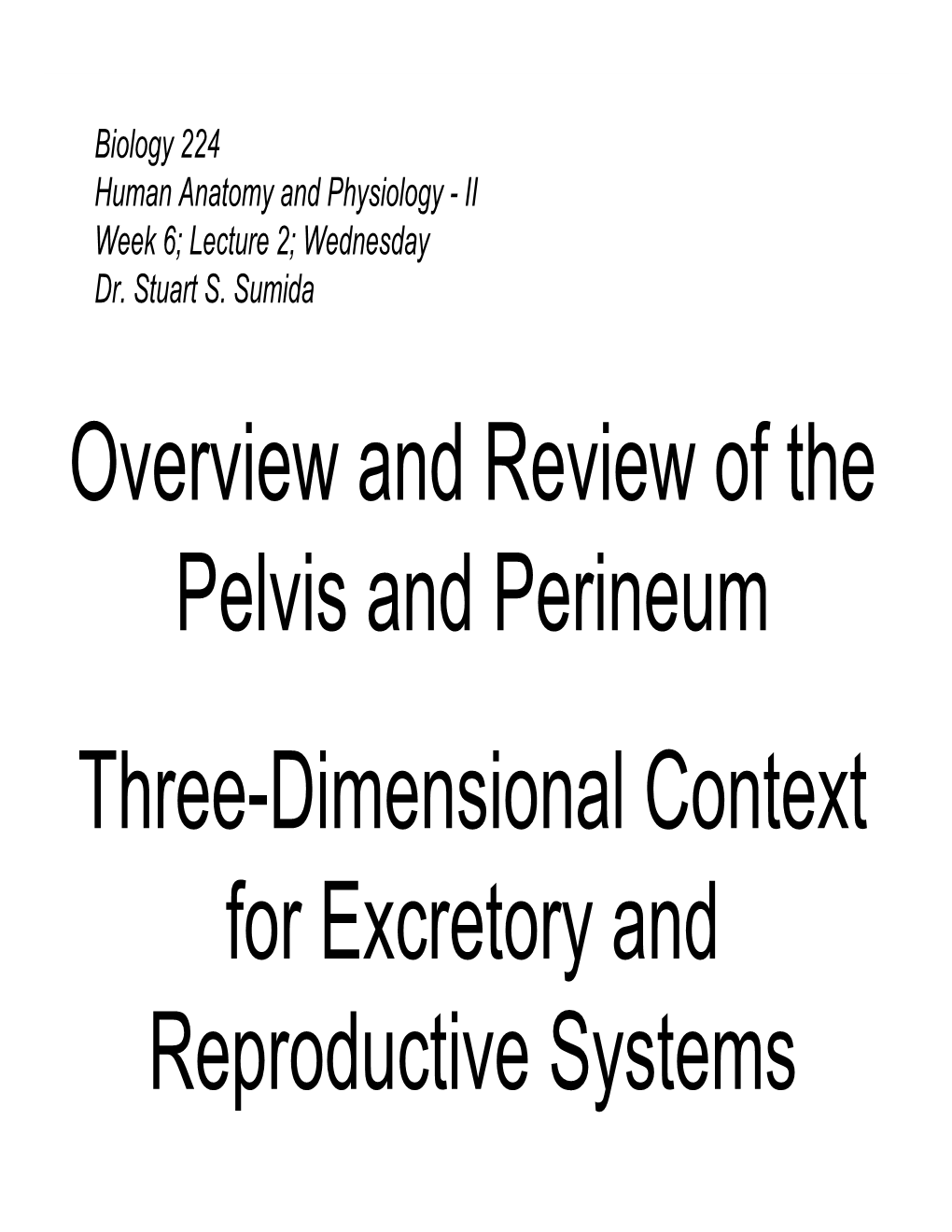 Overview and Review of the Pelvis and Perineum Three-Dimensional