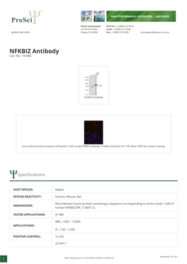NFKBIZ Antibody Cat