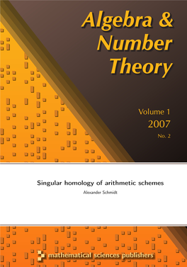 Singular Homology of Arithmetic Schemes Alexander Schmidt