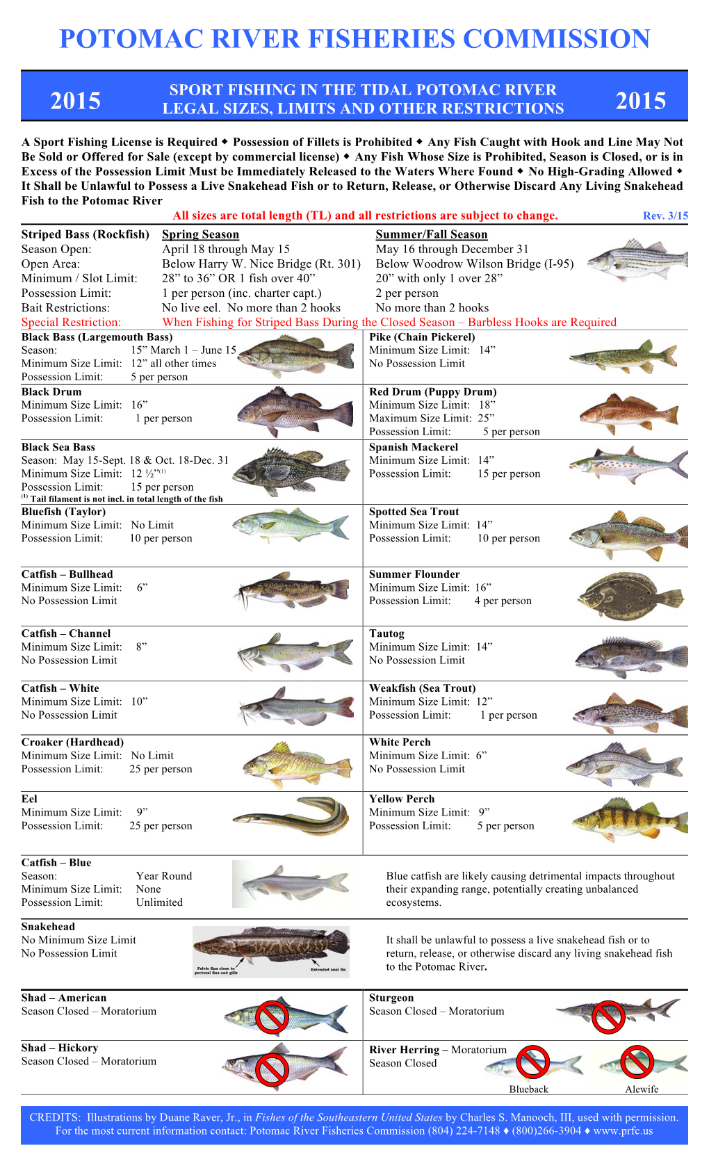 Season, Size & Possession Limits