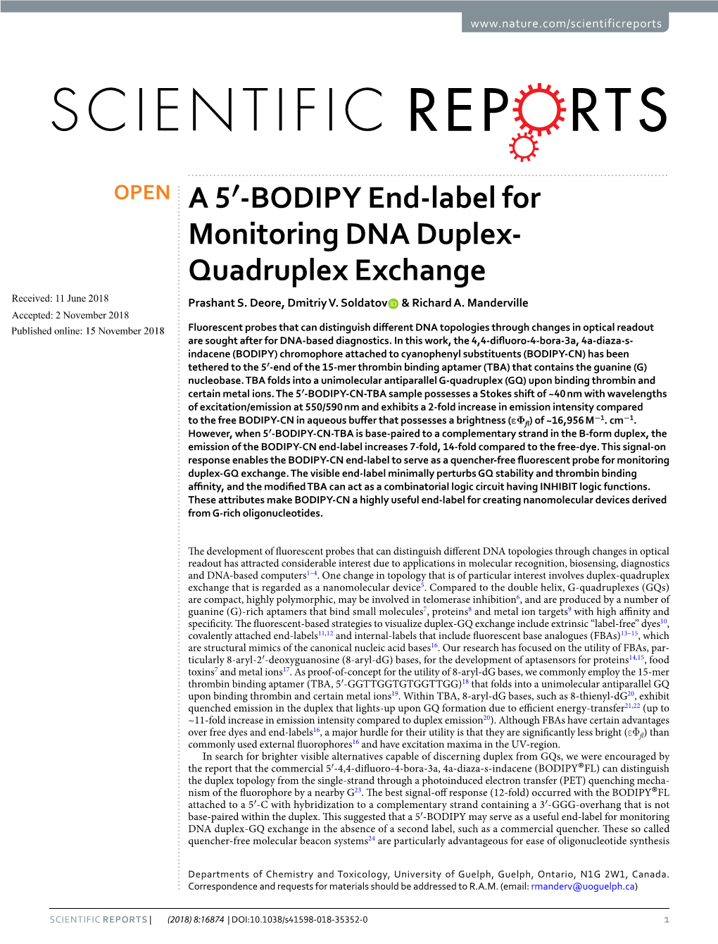 BODIPY End-Label for Monitoring DNA Duplex-Quadruplex Exchange