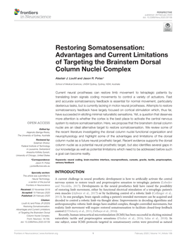 Restoring Somatosensation: Advantages and Current Limitations of Targeting the Brainstem Dorsal Column Nuclei Complex
