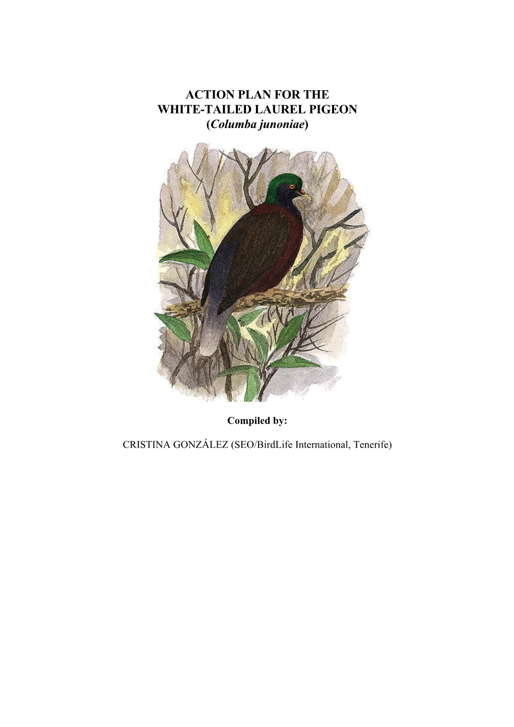 ACTION PLAN for the WHITE-TAILED LAUREL PIGEON (Columba Junoniae)