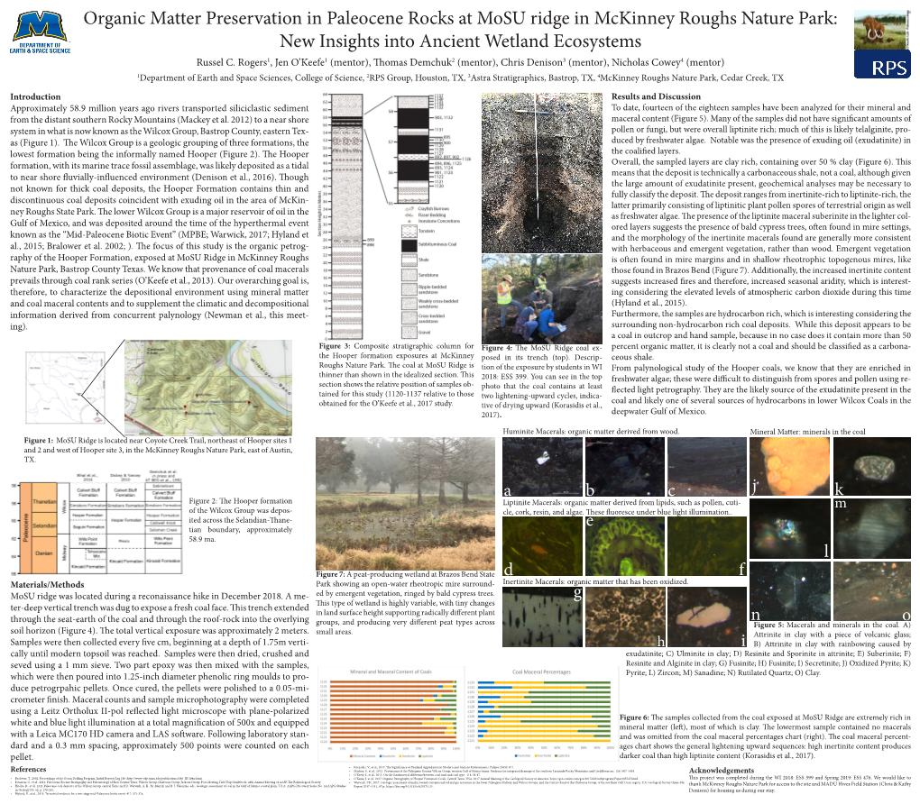 Organic Matter Preservation in Paleocene Rocks at Mosu Ridge in Mckinney Roughs Nature Park: New Insights Into Ancient Wetland Ecosystems Russel C