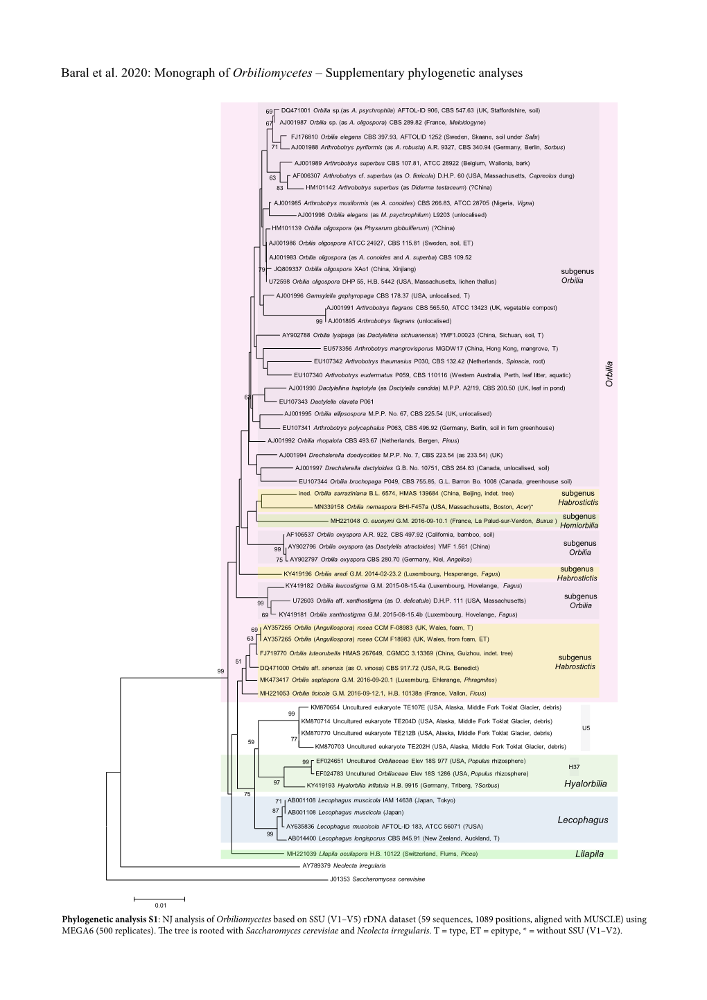 Baral Et Al. 2020: Monograph of Orbiliomycetes – Supplementary Phylogenetic Analyses