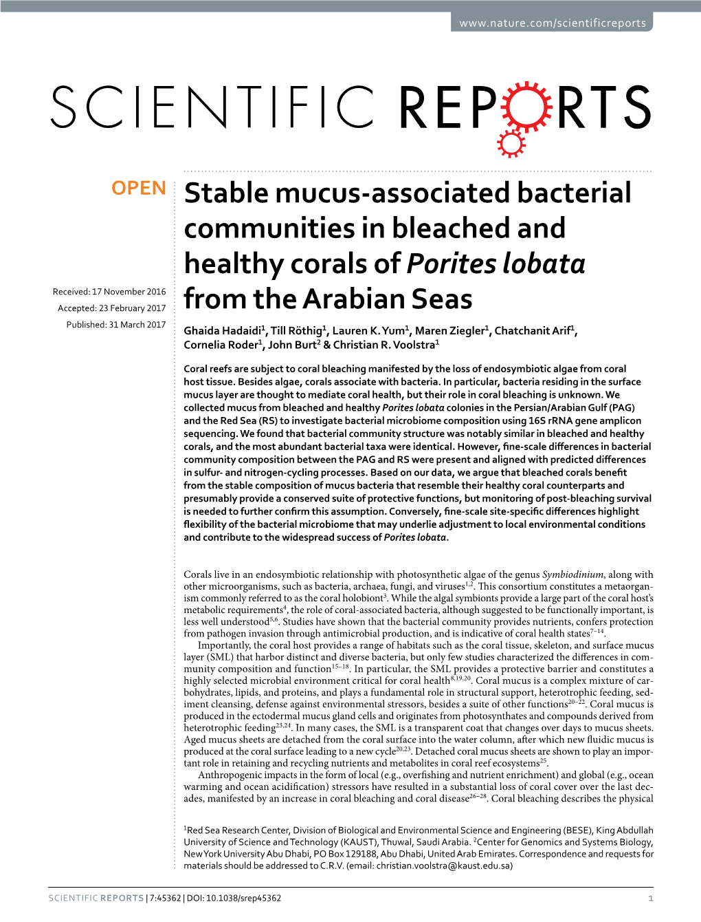 Stable Mucus-Associated Bacterial Communities in Bleached And