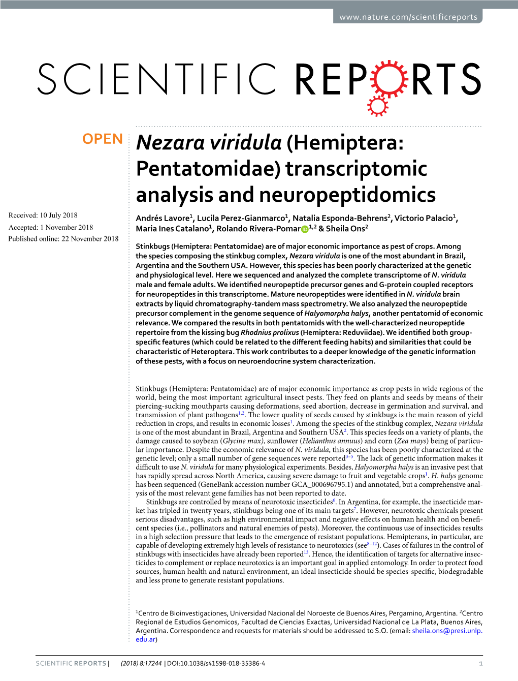 Nezara Viridula (Hemiptera: Pentatomidae) Transcriptomic