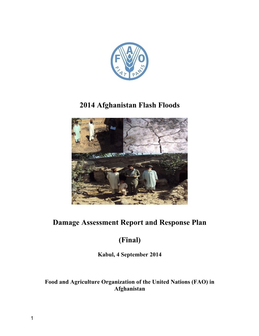 Damage Assessment Report and Response Plan