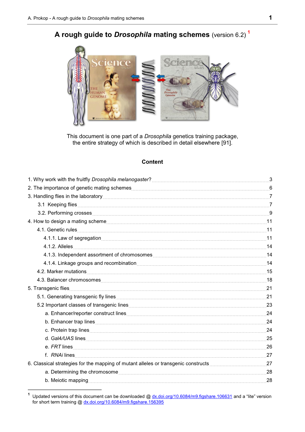 A Rough Guide to Drosophila Mating Schemes 1