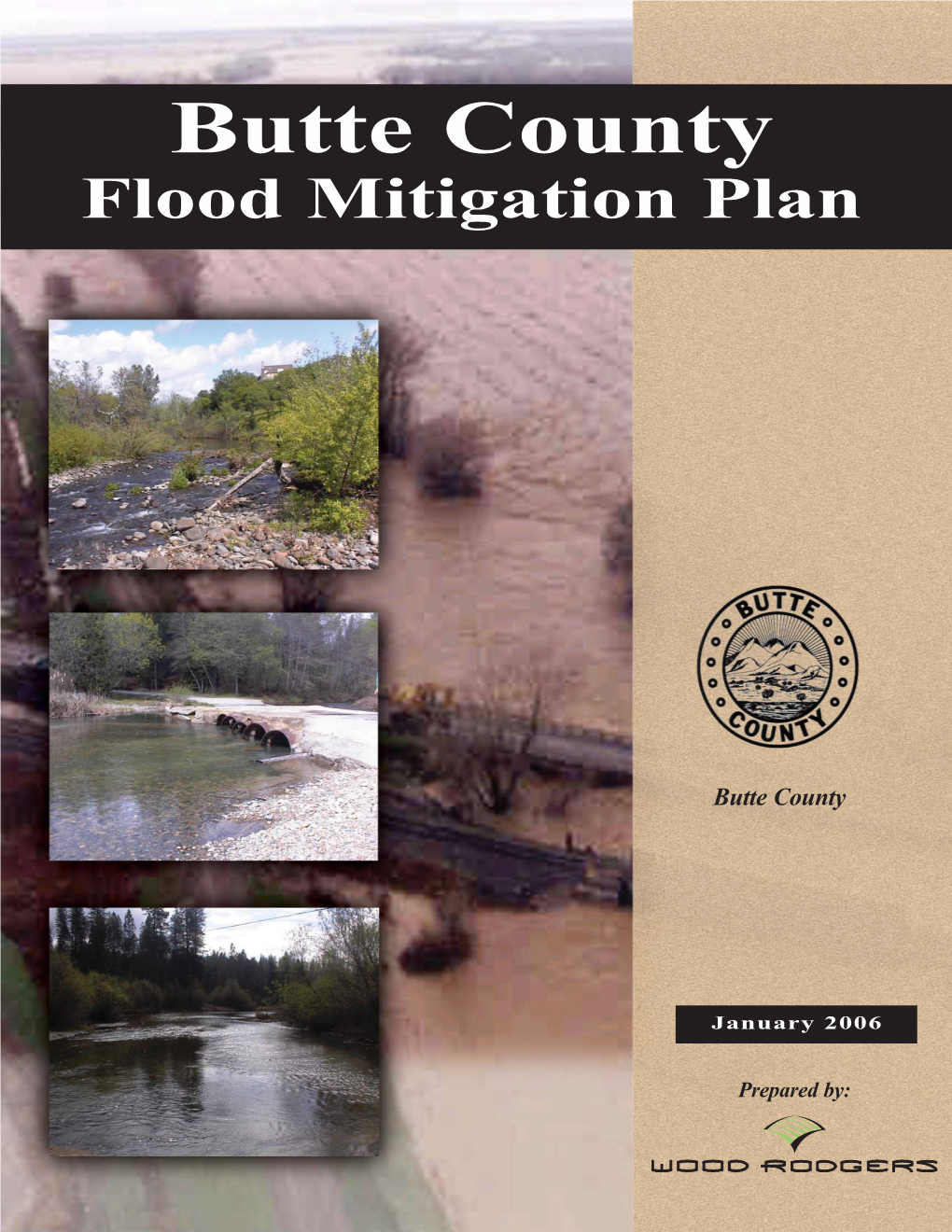 Flood Mitigation Plan