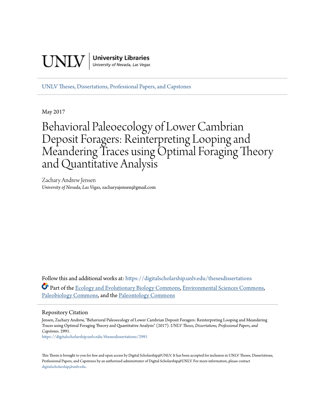 Reinterpreting Looping and Meandering Traces Using Optimal