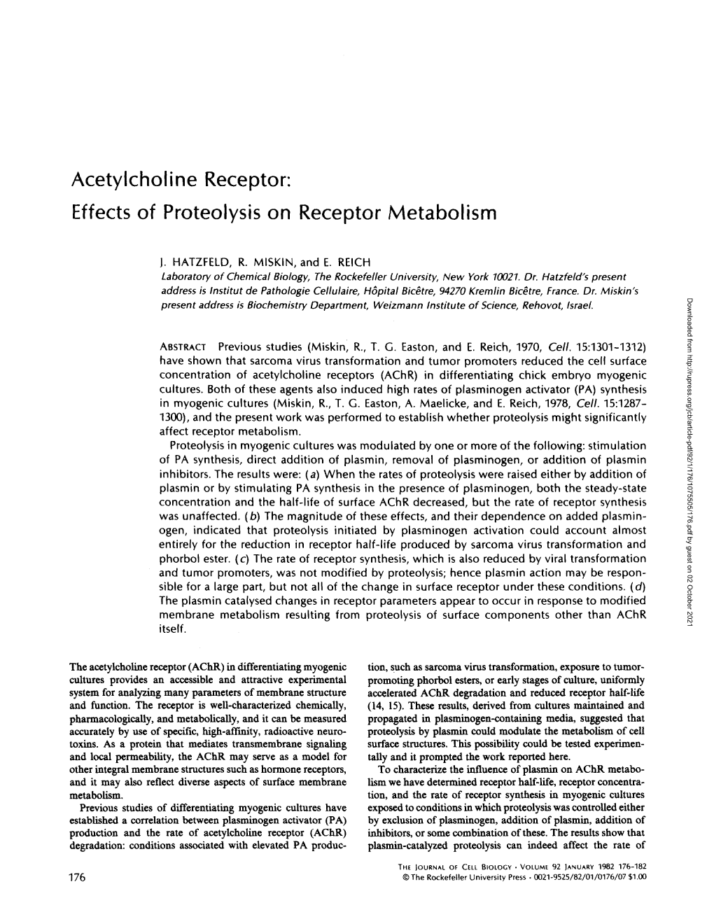 Acetylcholine Receptor: Effects of Proteolysis on Receptor Metabolism