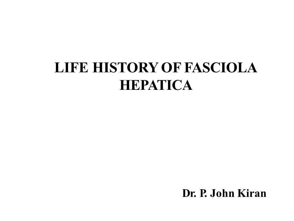 Life History of Fasciola Hepatica