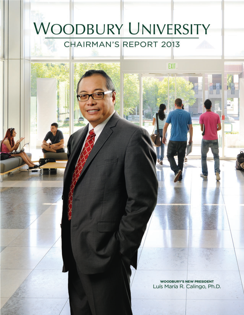 2013 Chairmans Report.Pdf