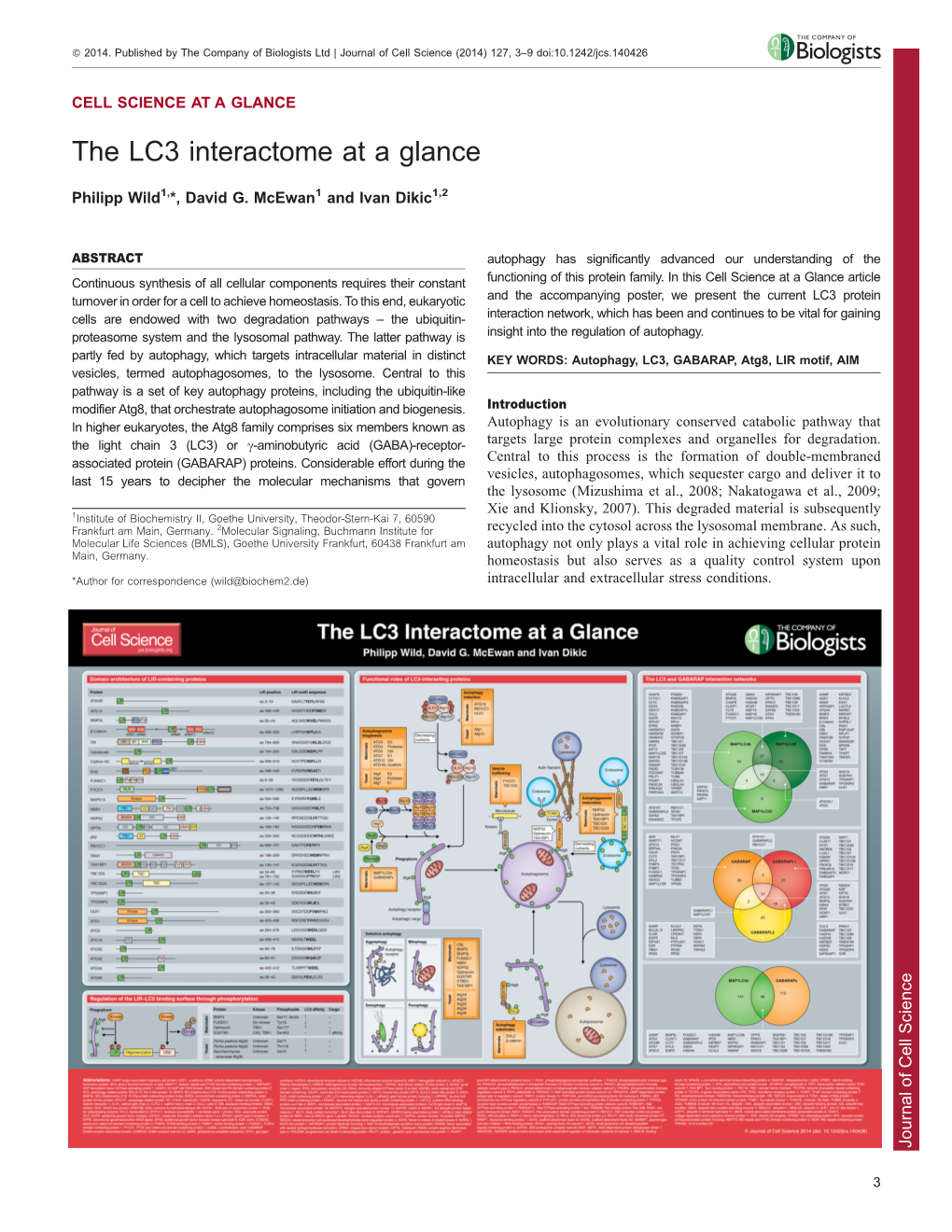 The LC3 Interactome at a Glance