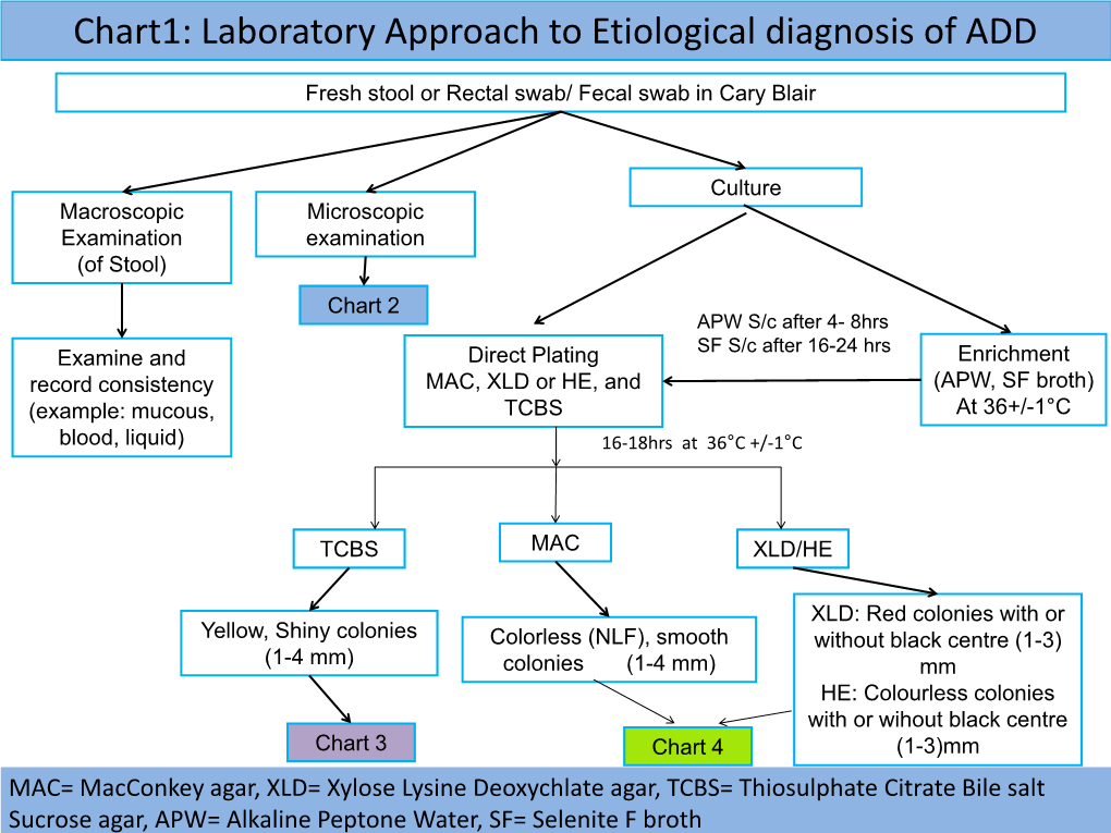 Laboratory Approach to Etiological Diagnosis of ADD