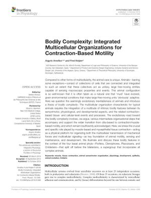 Bodily Complexity: Integrated Multicellular Organizations for Contraction-Based Motility