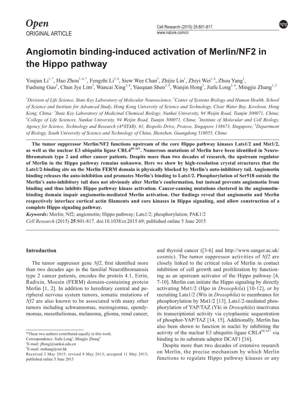 Angiomotin Binding-Induced Activation of Merlin/NF2 in the Hippo Pathway