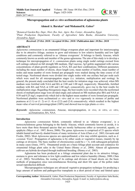 Micropropagation and Ex Vitro Acclimatization of Aglaonema Plants