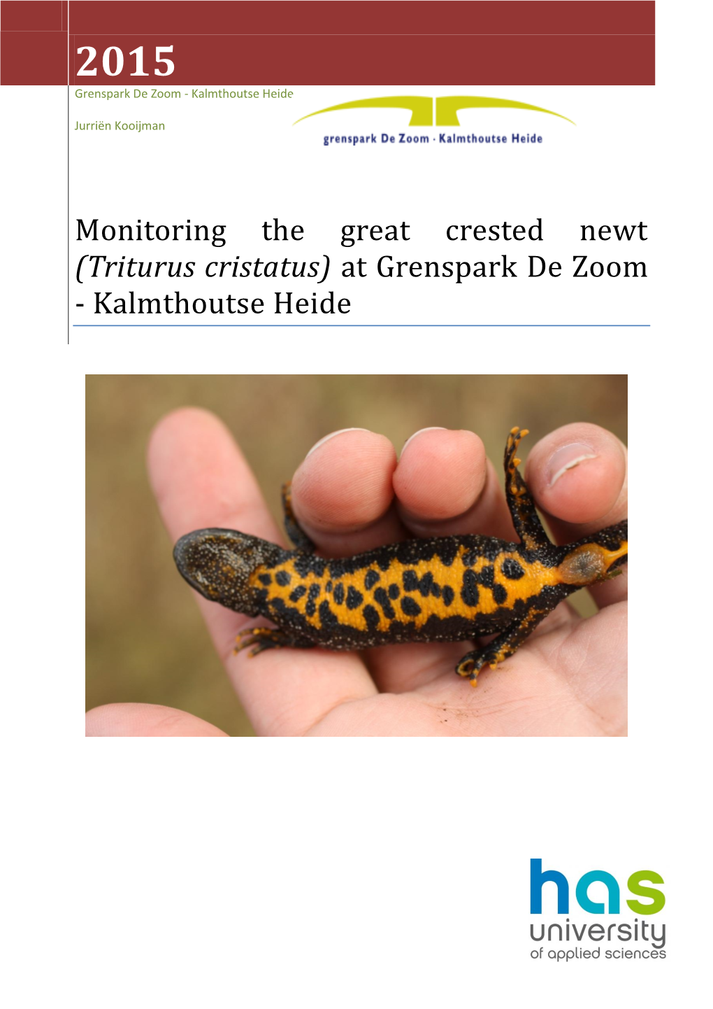 Monitoring the Great Crested Newt (Triturus Cristatus) at Grenspark De Zoom - Kalmthoutse Heide