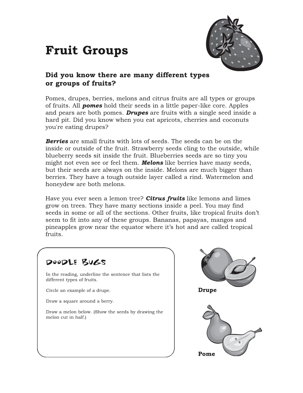 Fruit Groups