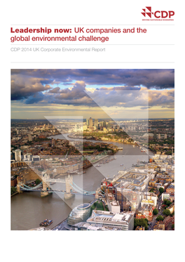 UK Companies and the Global Environmental Challenge