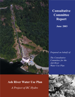 Consultative Committee Report