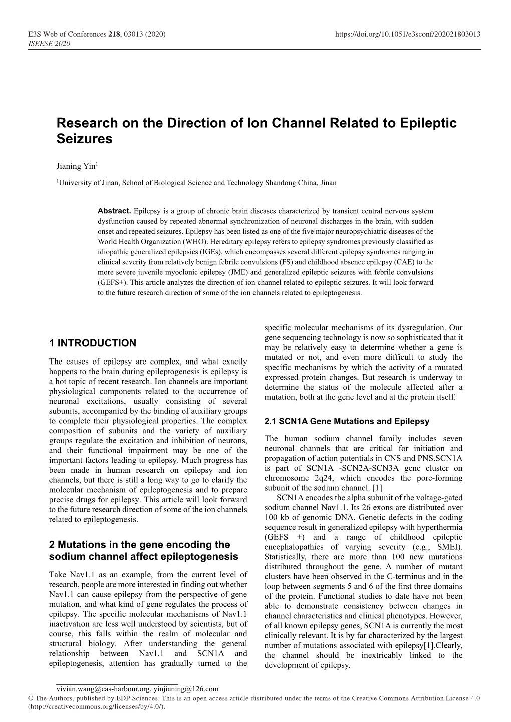 Research on the Direction of Ion Channel Related to Epileptic Seizures