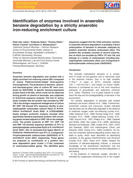 Identification of Enzymes Involved in Anaerobic Benzene Degradation by a Strictly Anaerobic Ironreducing Enrichment Culture