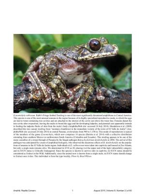 Ecnomiohyla Rabborum. Rabb's Fringe-Limbed Treefrog Is One of the Most Significantly Threatened Amphibians in Central America