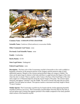 Common Name: COOSAWATTEE CRAYFISH Scientific Name: Cambarus (Hiaticambarus) Coosawattae Hobbs Other Commonly Used Names: None P