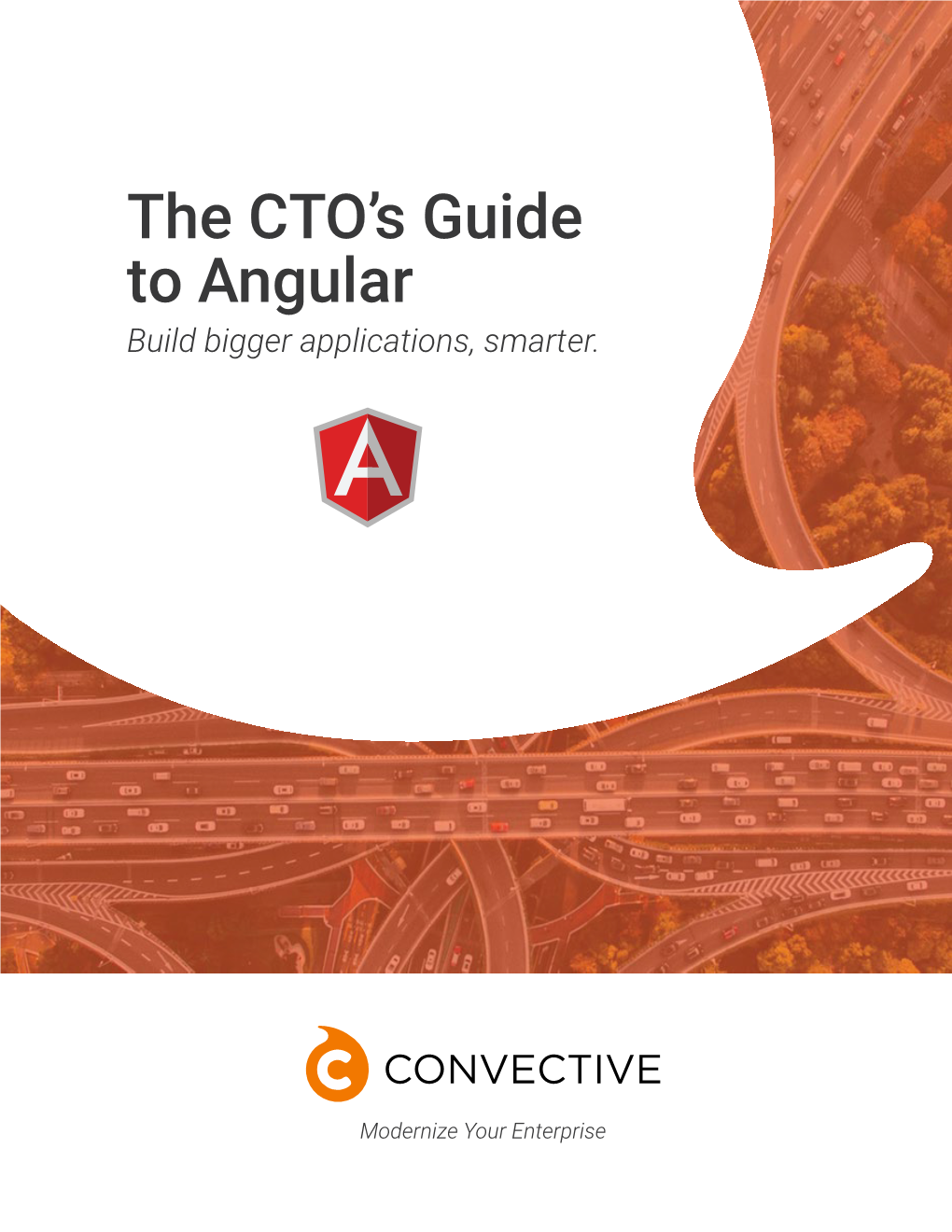 The CTO's Guide to Angular