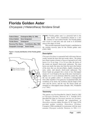 Florida Golden Aster Chrysopsis (=Heterotheca) Floridana Small