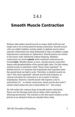 2.4.1 Smooth Muscle Contraction