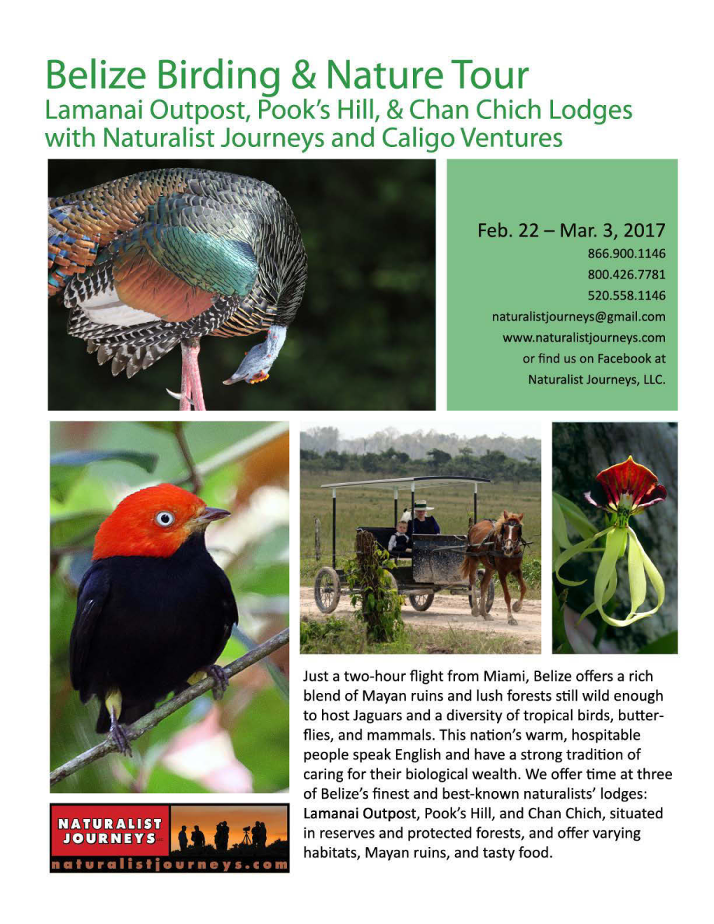 62-Belize-Birding-Nature-Tour.Pdf