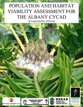 Albany Cycad PHVA Report.Pdf